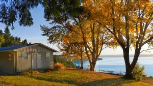 Pukaki Lakeside Getaway Cottage