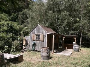 Gold Miners Cabin