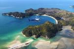 Abel Tasman Experience