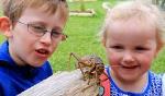 Koru Native Wildlife Centre Tour