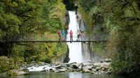 Half-Day Milford Track Guided Hiking Tour