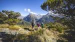 Full-Day Routeburn Track Key Summit Guided Walk from Te Anau