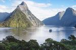 Milford Sound Private Day Tour