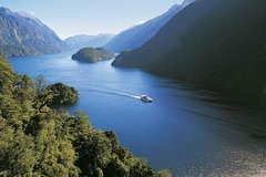 Queenstown to Doubtful sounds Private Luxury Day Tour