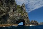 Private Tour: Bay of Islands Day Trip from Auckland