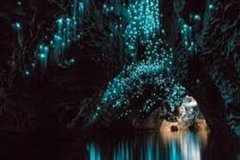 Private Tour: Waitomo Caves Day Trip from Auckland