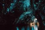 Private Tour: Waitomo Caves Day Trip from Auckland