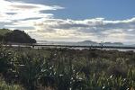 Beautiful Pohutukawa Coast - Half Day Private Tour