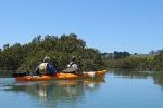 Marine Reserve Kayak Tour