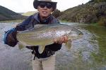 Guided Fly Fishing in New Zealand's South Island