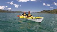 Half day Guided Sea Kayak Tour from Picton