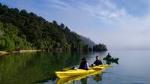 Full day Guided Sea Kayak Tour from Picton