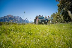 Top & Back - 4WD Tour to Glenorchy and Paradise