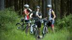Half-Day Self Guided Mountain Biking Experience from Napier