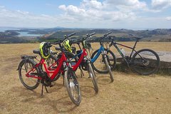 Leisure e-Bike Tour on Waiheke Island - departing from Auckland City