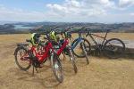 Leisure e-Bike Tour on Waiheke Island - departing from Auckland City