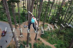 Adrenaline Forest Obstacle Course in Christchurch
