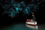 Rotorua to Auckland Transfer with Waitomo Glowworms