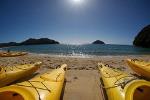 Full-Day Abel Tasman Kayak and Walk