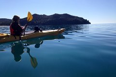 Full-Day Abel Tasman Relaxed or Late Riser Kayaking