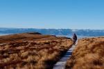 Fiordland Adventure Day Trip