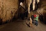 Tauranga Shore Excursion: Waitomo Caves & The Kiwi House Exclusive Tour