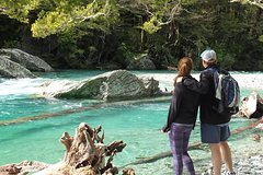 Full-Day Small-Group Routeburn Valley Walk