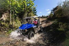 Challenger Self Drive Guided Buggy Tour from Queenstown