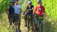 Full-Day Marlborough Wine Region Bike Hire