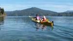Half-Day Guided Sea Kayak Trip from Picton