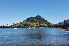 Half Day Small-Group Tauranga Scenic Tour from Port