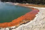 Geothermal Highlights Tour to WaioTapu and the Maori Geothermal village -Rotorua