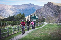 Bike The Wineries Half Day Bike Tour from Queenstown