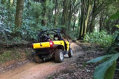 4x4 Self Drive 2 seater CanAm Commander