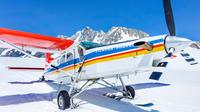 35-Minute Valley and Glacier Ski Plane Tour from Mount Cook