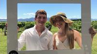 Private Wine Gourmet and Scenic Delights Tour from Blenheim