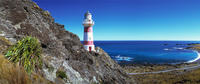 Palliser Bay and Coastal Delights Tour from Wellington