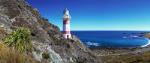 Palliser Bay and Coastal Delights Tour from Wellington