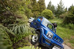 Rotorua 4WD Bush Safari Tour