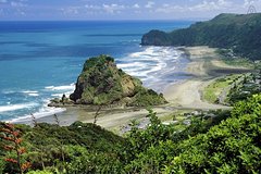 Full-Day Piha and Waitakere Ecotour from Auckland