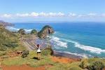 Private Day Tour Auckland - Hiking