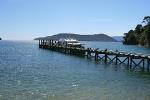 Full-Day Marlborough Catamaran Cruise with Wine Tour and Lunch