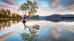 Private Wanaka Photography Tour - 1 Day