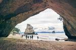 Cathedral Cove Day Trip from Auckland