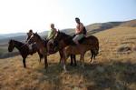 Christchurch Horse Trekking
