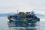 3-Day Kaikoura Whale Watching and Christchurch Tour