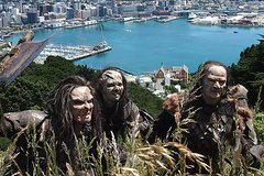 Wellington Lord of the Rings City Tour with Small Group