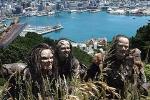 Wellington Lord of the Rings City Tour with Small Group