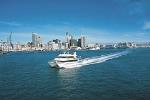 Auckland Shore Excursion: City Sightseeing, Harbour Cruise and Waiheke Island Wine Tasting