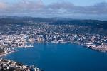 Wellington Shore Excursion: City Sightseeing Tour